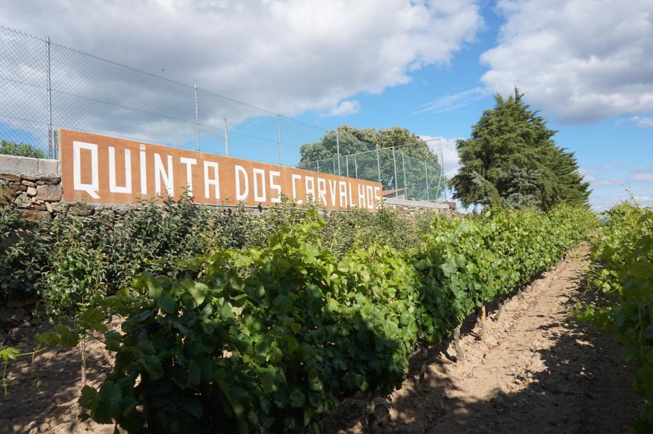 Quinta Dos Carvalhos Holiday home